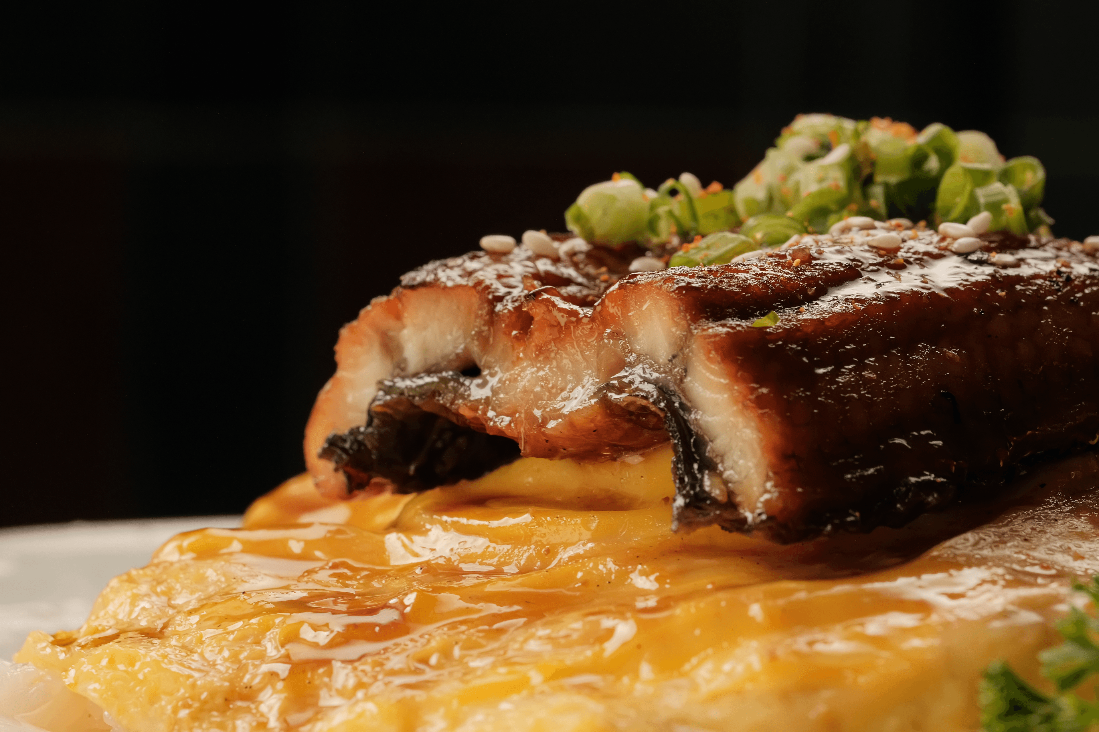Unagi Don